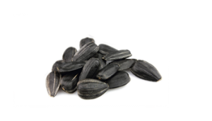 Sunflower seeds PNG-42952